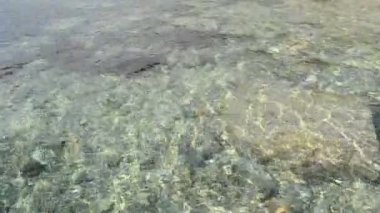 Deniz. Doğanın çekim gücü.