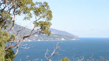 Deniz manzarası. Doğanın çekim gücü.