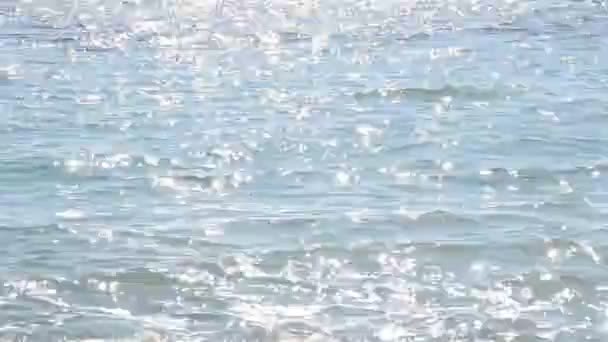 Moře Natáčení Přírody — Stock video