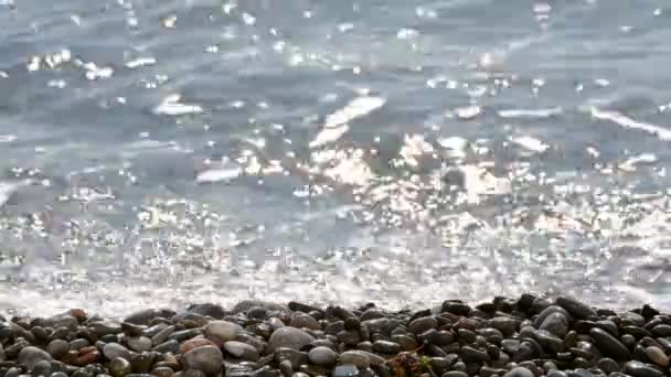 Θάλασσα Σκοποβολή Της Φύσης — Αρχείο Βίντεο