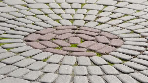 Paving Stones Texture Shooting Nature — Stock Video