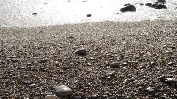 Havet Fotografering Naturen — Stockvideo