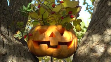 Cadılar bayramı balkabağı. Ormandaki bir ağaca ateş ediyorum..