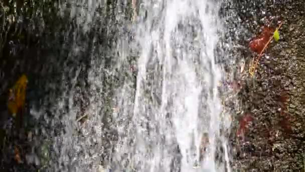 Een Waterval Schieten Van Natuur — Stockvideo