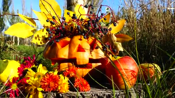 Espeluznante Calabaza Halloween Monstruo Sienta Tronco Árbol — Vídeo de stock