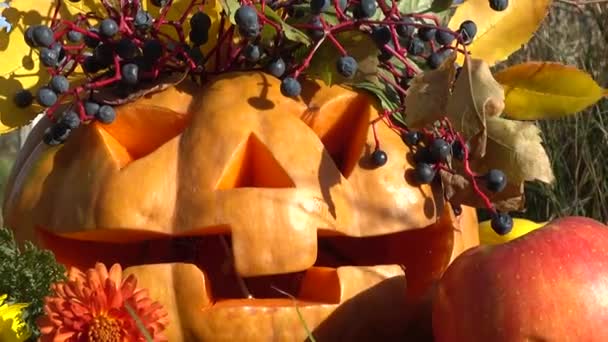 Griezelige Halloween Pompoen Het Monster Zit Een Boomstrook — Stockvideo