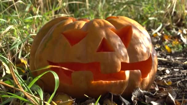 Assustador Halloween Pumpkin Shooting Outubro — Vídeo de Stock