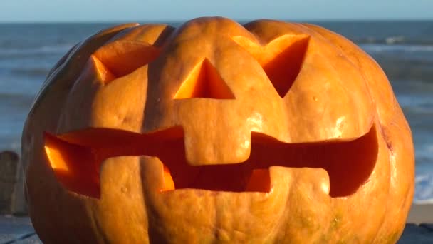 Läskig Halloweenpumpa Skjuta Mot Bakgrund Havet — Stockvideo