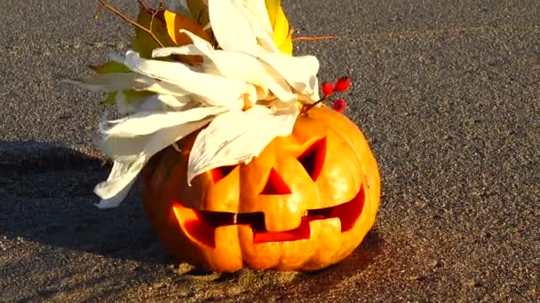 Spooky Halloween Pumpkin Shooting Beach — Stock Video