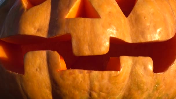 Strašidelná Halloweenská Dýně Střelba Pozadí Moře — Stock video