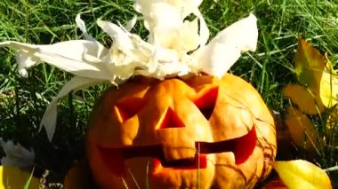 Cadılar bayramı balkabağı. Ekim 'de çekim.