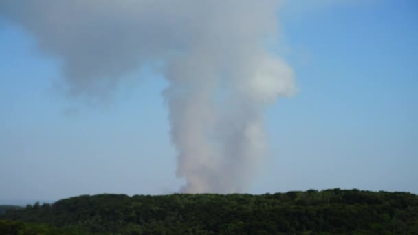 Het Vuur Boven Het Hout Rookschieten — Stockvideo