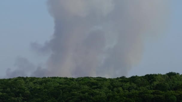 Fogo Sobre Lenha Tiro Fumo — Vídeo de Stock