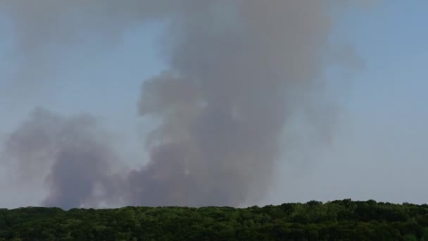木头上的火 烟雾射击 — 图库视频影像