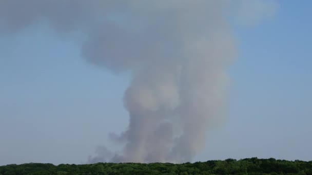 Fogo Sobre Lenha Tiro Fumo — Vídeo de Stock