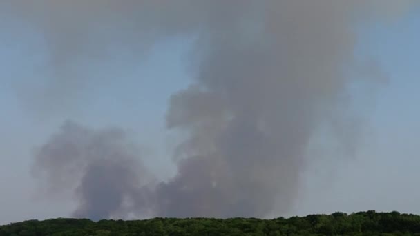 Das Feuer Über Dem Holz Rauchentwicklung — Stockvideo