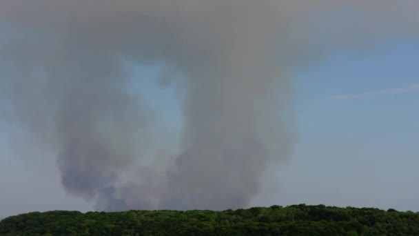 Fogo Sobre Lenha Tiro Fumo — Vídeo de Stock