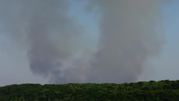 Het Vuur Boven Het Hout Rookschieten — Stockvideo