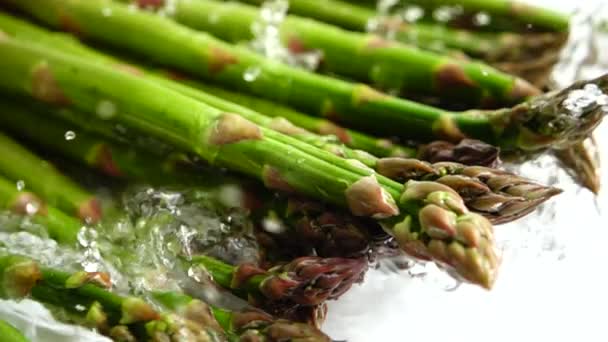 Verse Groene Asperges Water Spat Langzame Beweging — Stockvideo