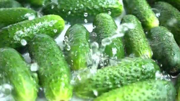 Cetrioli Acqua Spruzzata Rallentatore — Video Stock