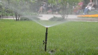 Çim sulama. Yazın çekim..