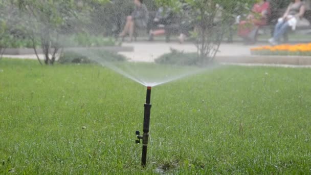 Water Geven Aan Gras Schieten Zomer — Stockvideo