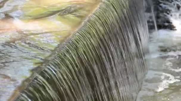 Simetria Cascata Água Parque — Vídeo de Stock