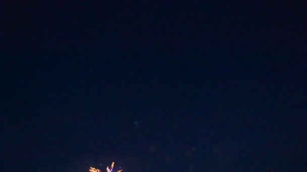 Fuegos Artificiales Disparando Saludo Cielo Nocturno — Vídeos de Stock