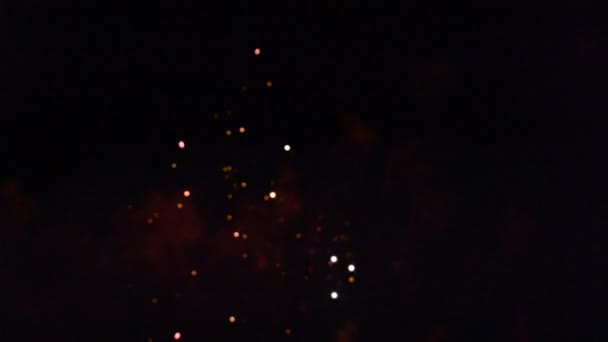 Πυροτεχνήματα Ρίχνει Ένα Χαιρετισμό Στο Νυχτερινό Ουρανό — Αρχείο Βίντεο