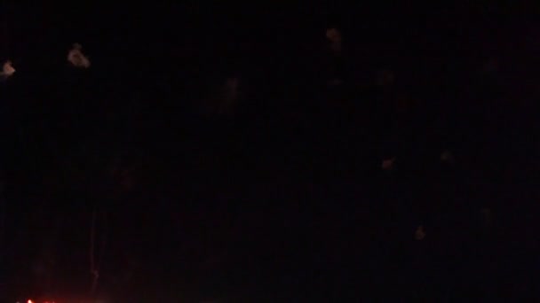 Fuegos Artificiales Disparando Saludo Cielo Nocturno — Vídeos de Stock