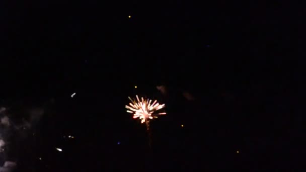 Feux d'artifice. Tourner un salut dans le ciel nocturne .