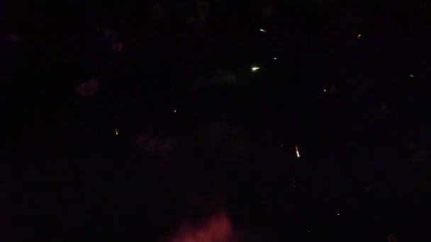 Feux Artifice Tourner Salut Dans Ciel Nocturne — Video