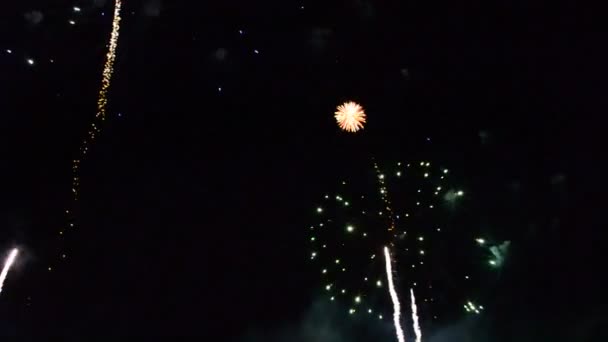 Vuurwerk Een Saluut Schieten Aan Nachtelijke Hemel — Stockvideo
