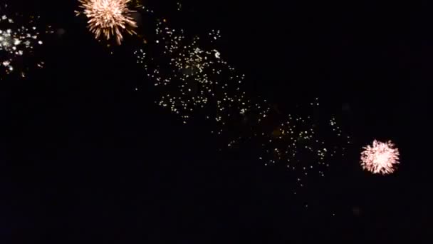 Feuerwerk Salut Den Nachthimmel Schießen — Stockvideo