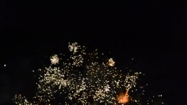 Feux d'artifice. Tourner un salut dans le ciel nocturne .