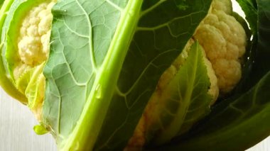 Harekette karnabahar avcılığı. Kesme tahtası.