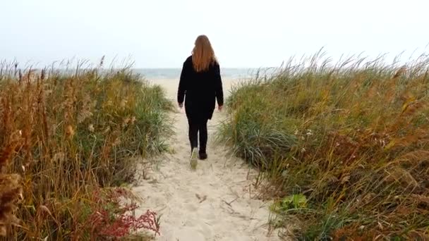 女の子は歩道のビーチで海に行く — ストック動画
