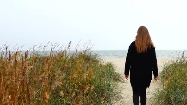 那女孩走在海滨的人行道上 — 图库视频影像