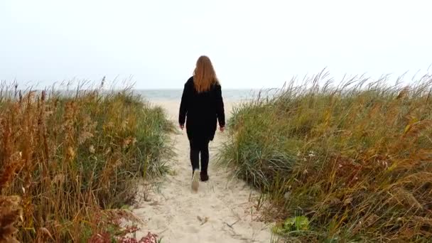 那女孩走在海滨的人行道上 — 图库视频影像