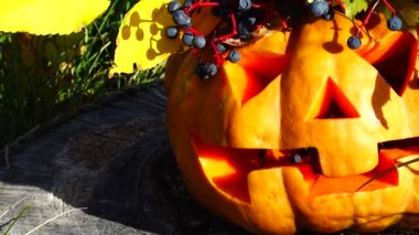 Cadılar bayramı balkabağı. Canavar ağaç kütüğüne oturur..