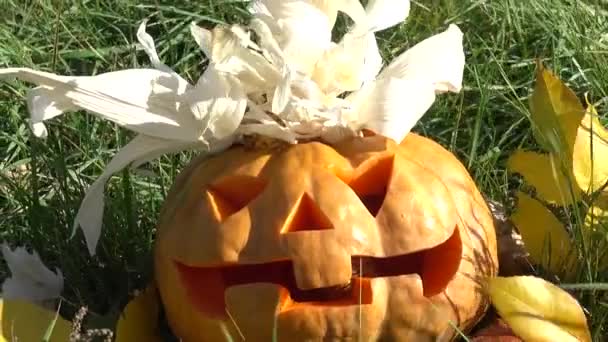 Kísérteties Halloween Tök Októberben Forgatás — Stock videók