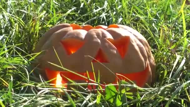 Labu Halloween Menyeramkan Shooting October — Stok Video