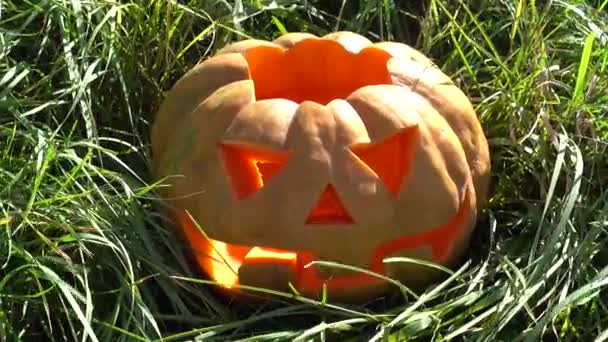 Espeluznante Calabaza Halloween Disparos Octubre — Vídeo de stock