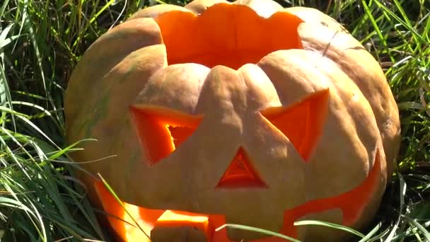 Strašidelná Halloweenská Dýně Natáčení Říjnu — Stock video