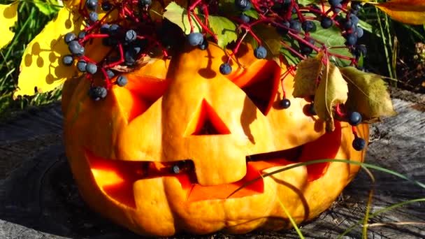 Griezelige Halloween Pompoen Het Monster Zit Een Boomstrook — Stockvideo