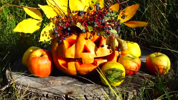 Strašidelná Halloweenská Dýně Monstrum Sedí Kusu Stromu — Stock video