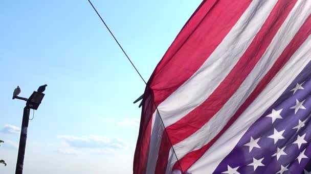 Drapeau Des États Unis Tournage Par Une Journée Ensoleillée — Video