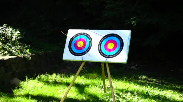 Archery Arrow Hit Target Slow Motion — Stock Video