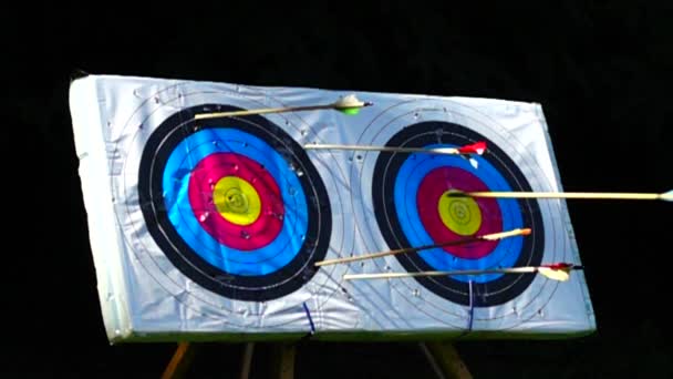 Archery Arrow Hit Target Slow Motion — Stock Video