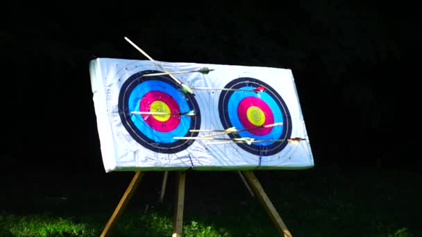 Archery Arrow Hit Target Slow Motion — Stock Video